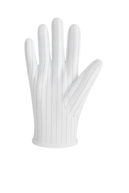 Anti-static Gloves